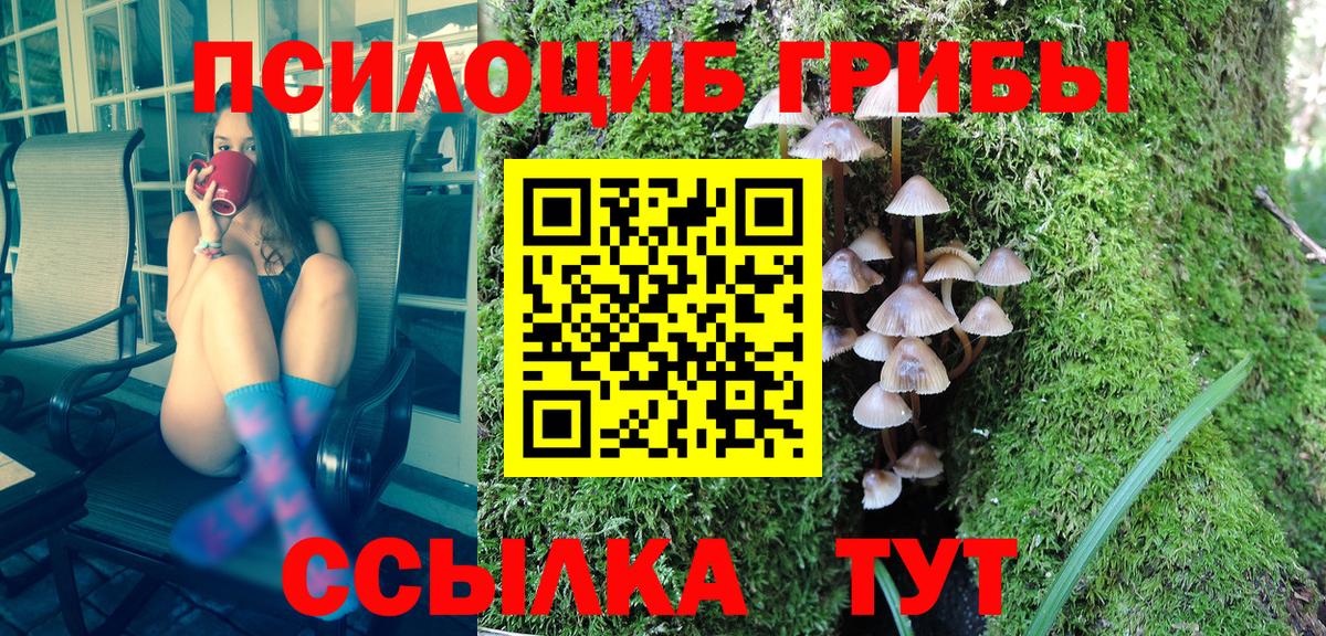 Псилоцибиновые грибы прущие грибы  что такое наркотик  Вход с VPN  Унеча  Галлюциногенные грибы мухоморы 